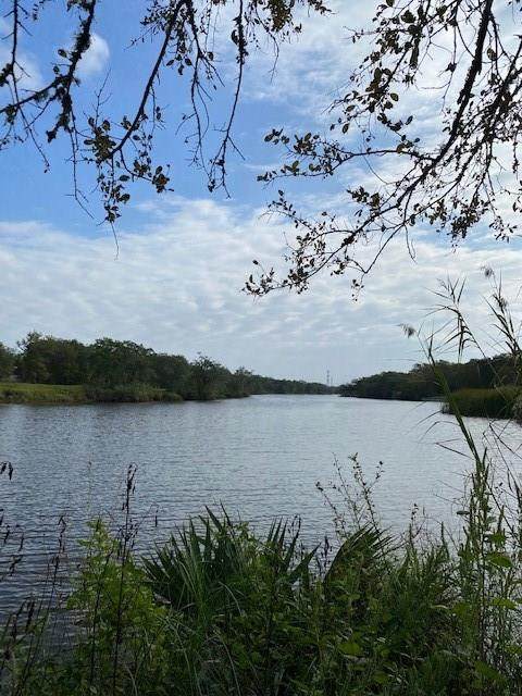 31826 Bayou Bend - Photo 1