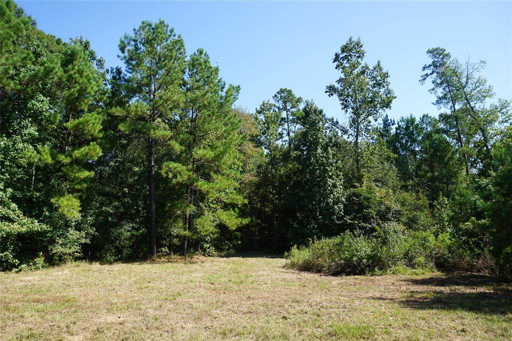 TBD Forest Circle - Photo 1