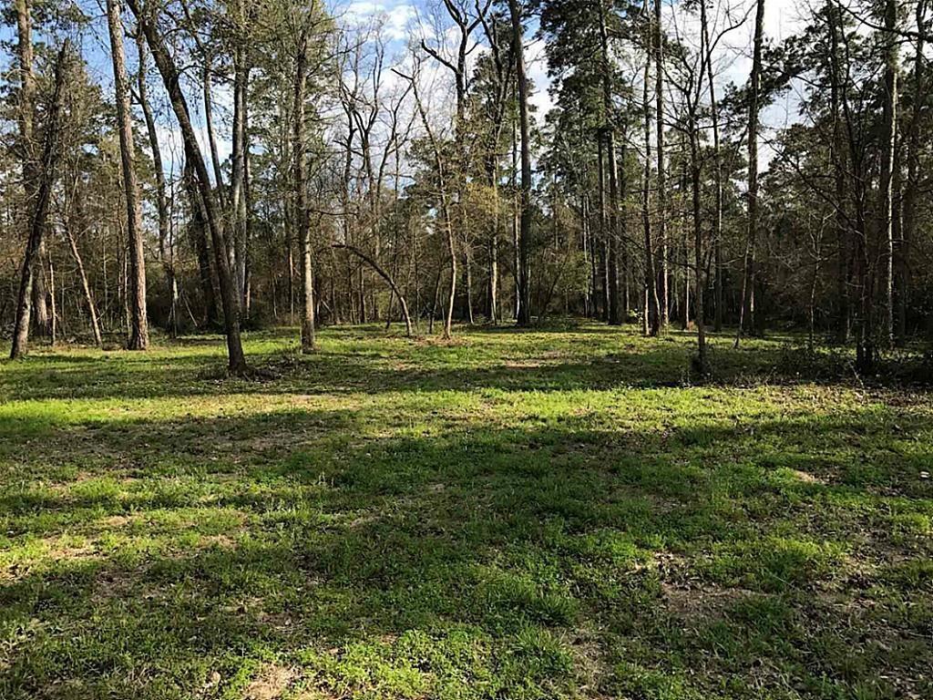 1251 Trailwood Estates Drive - Photo 1