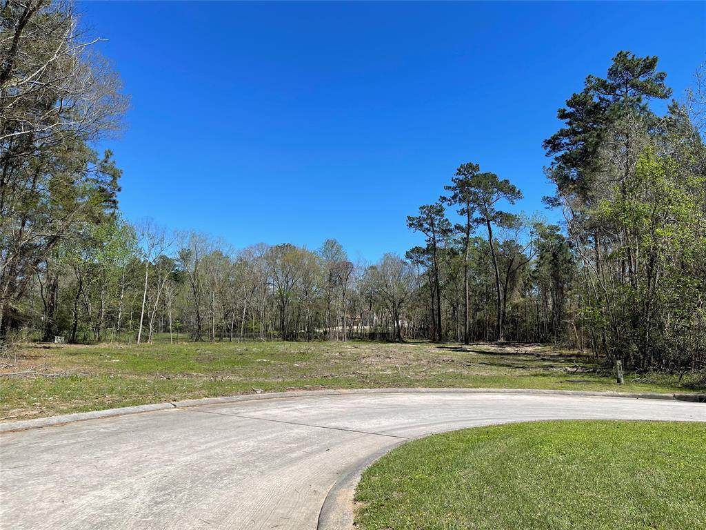 0 Majestic Falls Drive - Photo 1