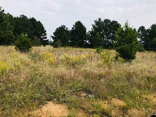 00 County Road 1709 - Photo 1