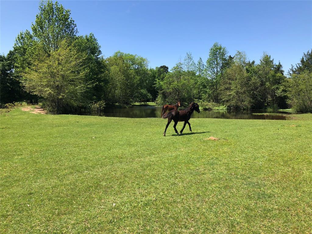 1803 County Road 3046 - Photo 1