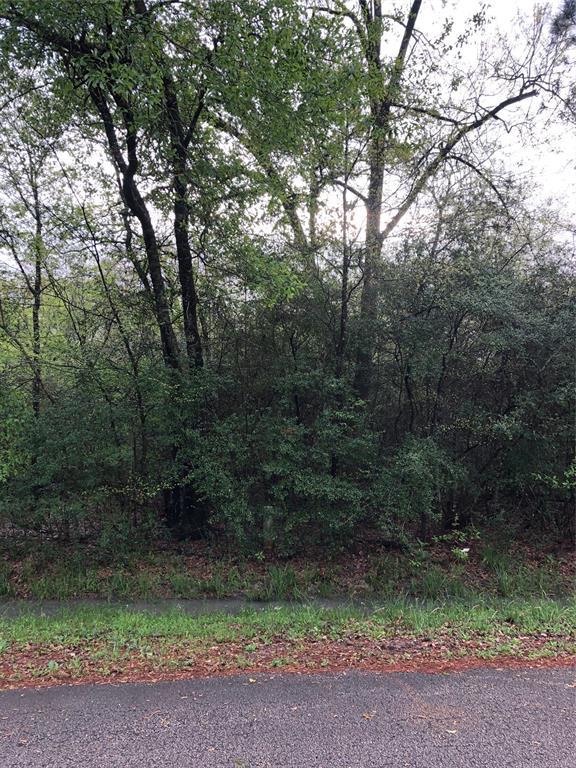 Lot 28 & 29 Cherokee Lane - Photo 1