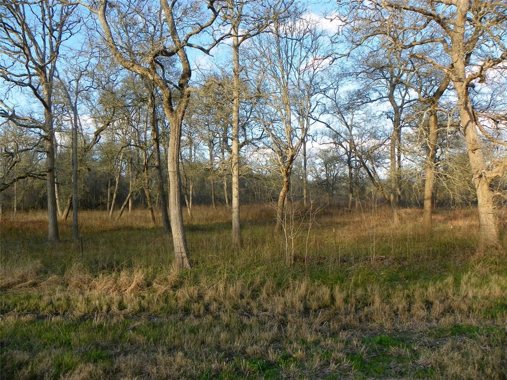 0 Tierra Grande Drive - Photo 1
