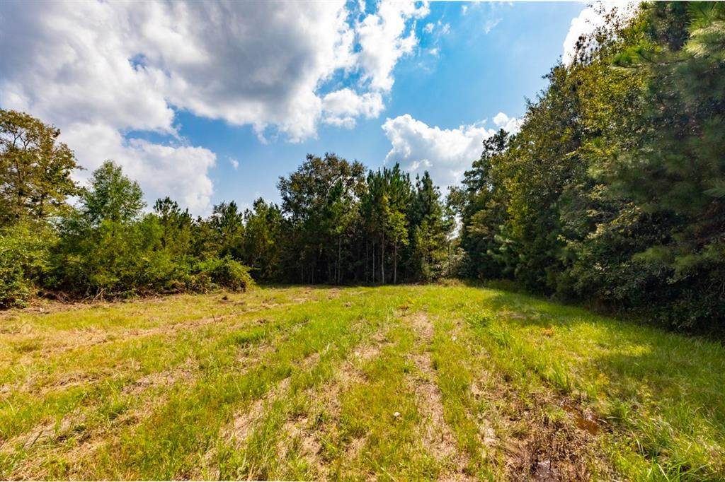 2390 Blue Jay Drive - Photo 1