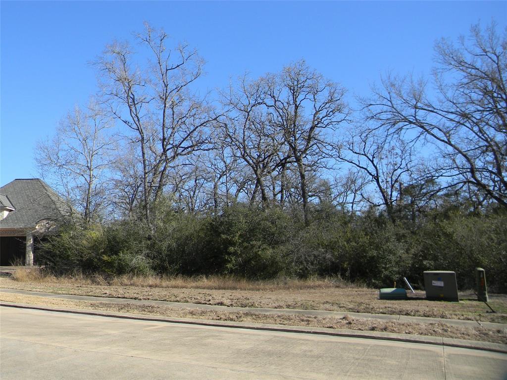 3404 Chinquapin Court - Photo 1