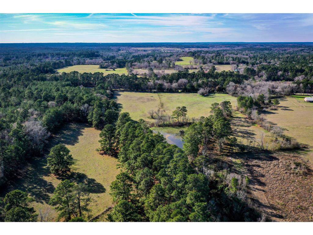 23.87 Acres Fm 405 - Photo 1