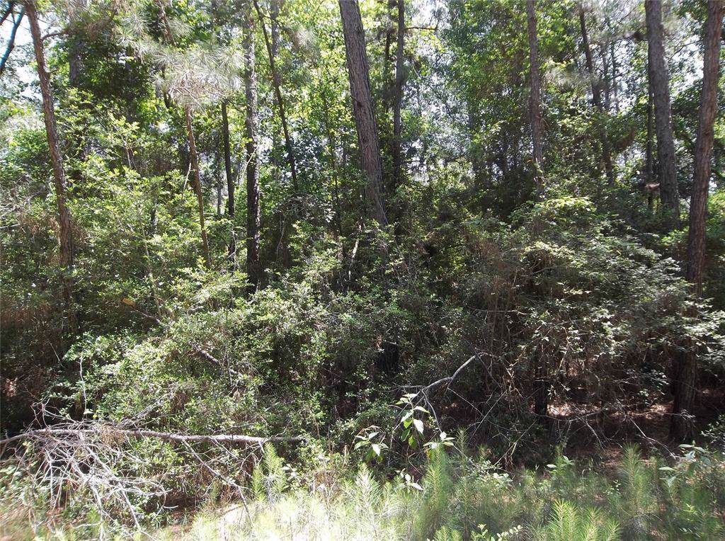 0 East Hickory Bow Ln - Photo 1