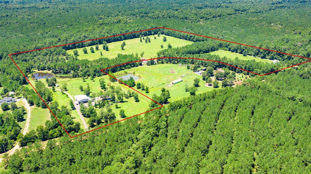 907 Big Woods Road - Photo 1