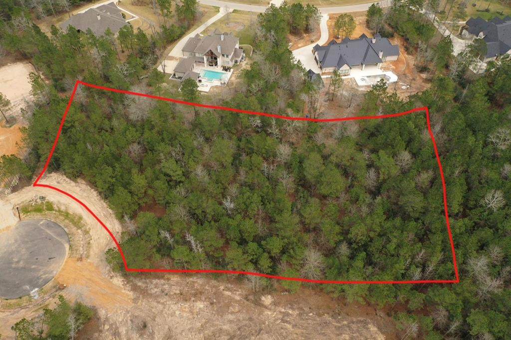 6901 Hollyleaf Court - Photo 1