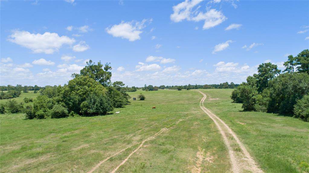 0000 County Road 208 - Photo 1