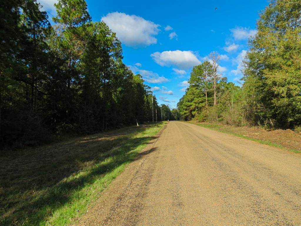2744 Mangum Rd - Photo 1