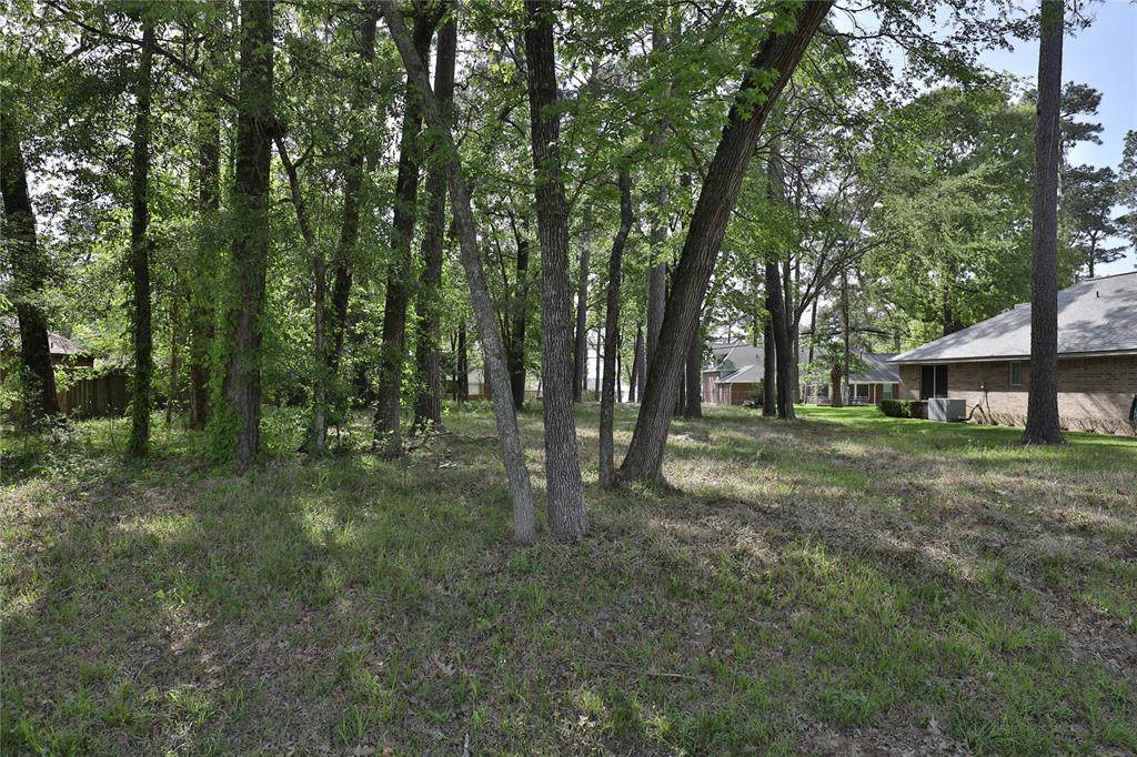 2119 Round Wind Trail - Photo 1