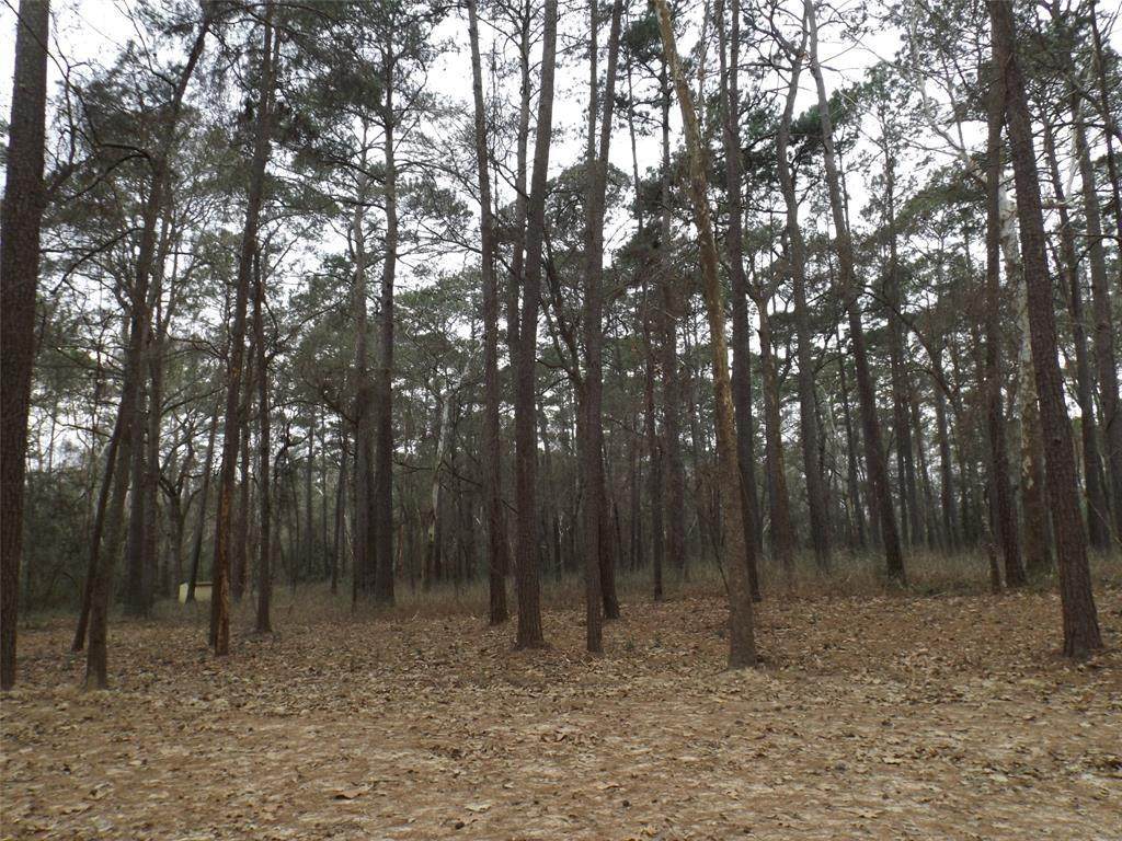 Lot 3 Block 3 Crooked Creek - Photo 1