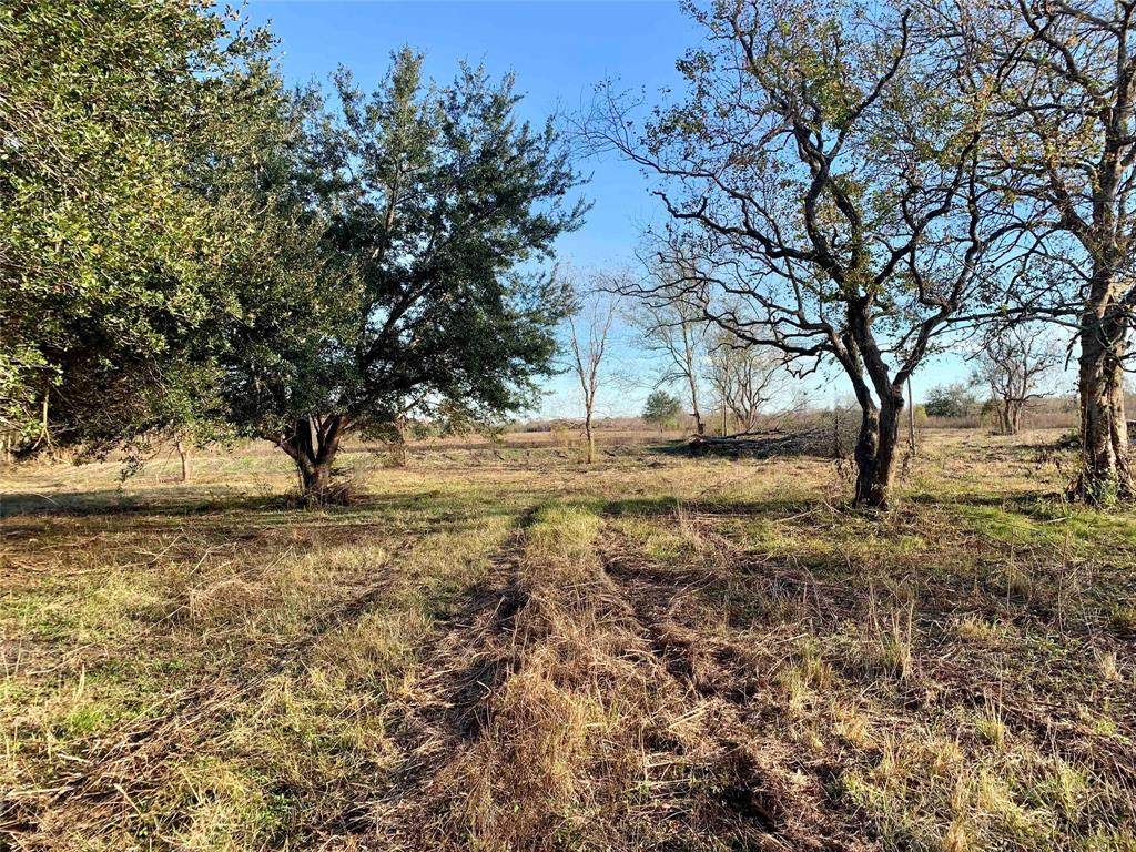 0 County Road 165/167 - Photo 1