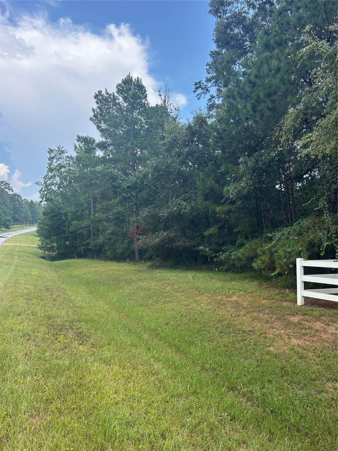 L21 Rolling Oak - Photo 1