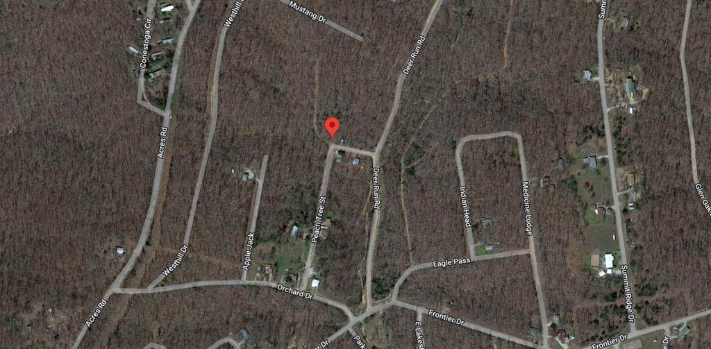 Lot 13 Deer Trail - Photo 1