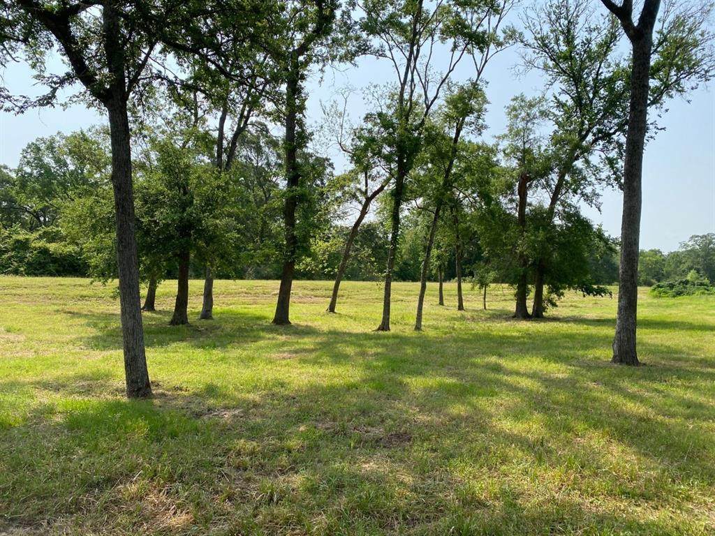 27897 Krezdorn Road - Photo 1