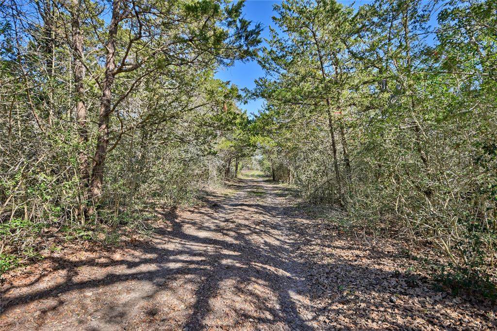 1240 Weyand Rd Lot 1 - Photo 1