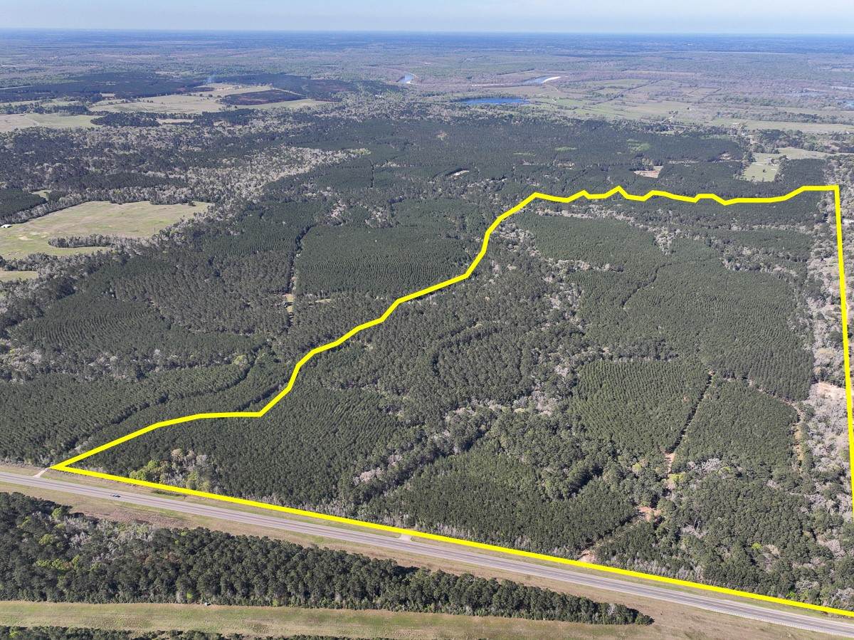 5 Highway 146 - Photo 1