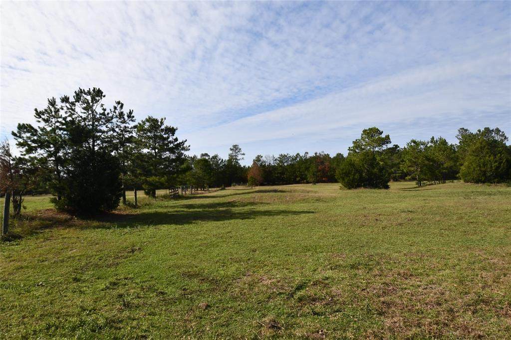 1201 Alsobrooks Road - Photo 1