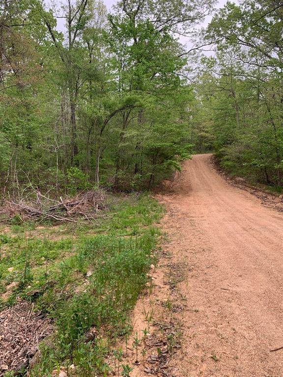 Lot 33 Lakeside Trail - Photo 1