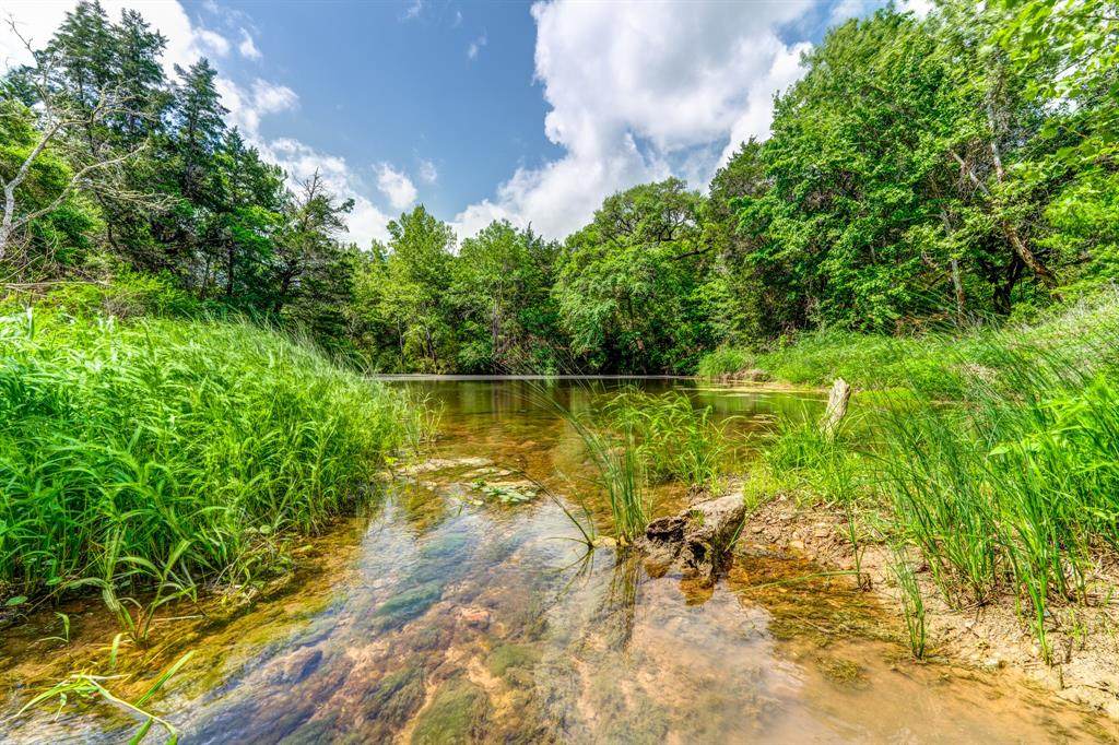 1145 Lot 4 County Road 218 - Photo 1