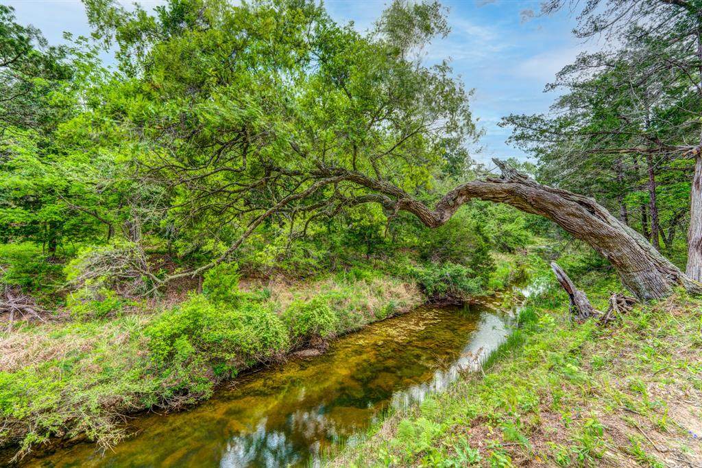 1145 Lot 3 County Road 218 - Photo 1