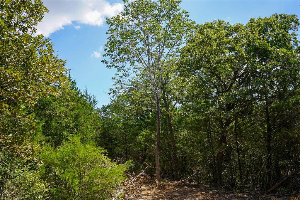 Lot 8 TBD County Road 190 - Photo 1