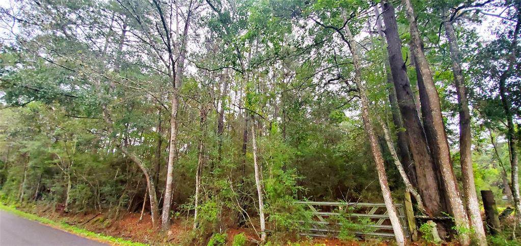 TBD County Road 301 S - Photo 1