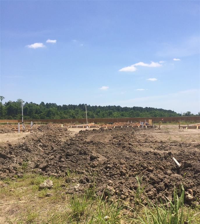 12019 Windage Drive - Photo 1