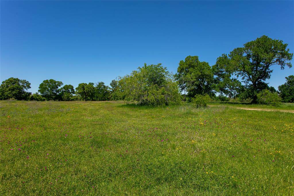 Lot 23A Brazos Court - Photo 1