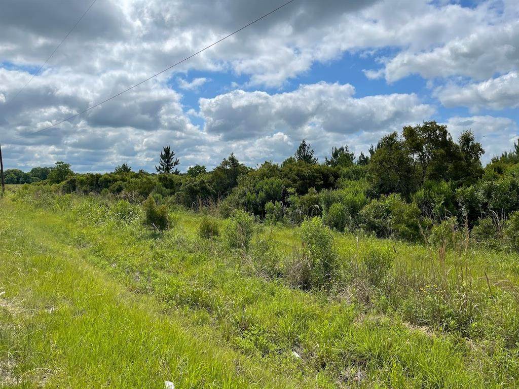 0 County Road 6111 Lot 1E - Photo 1