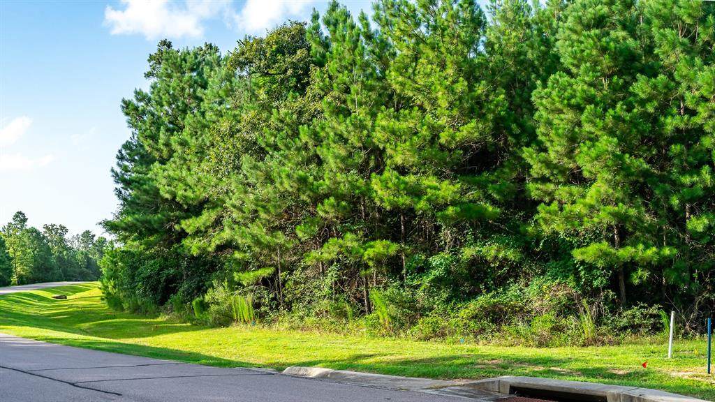 26218 Huntsworth Lane - Photo 1