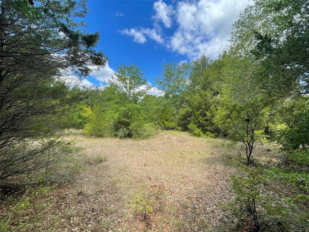 TBD Fm 489 - Photo 1