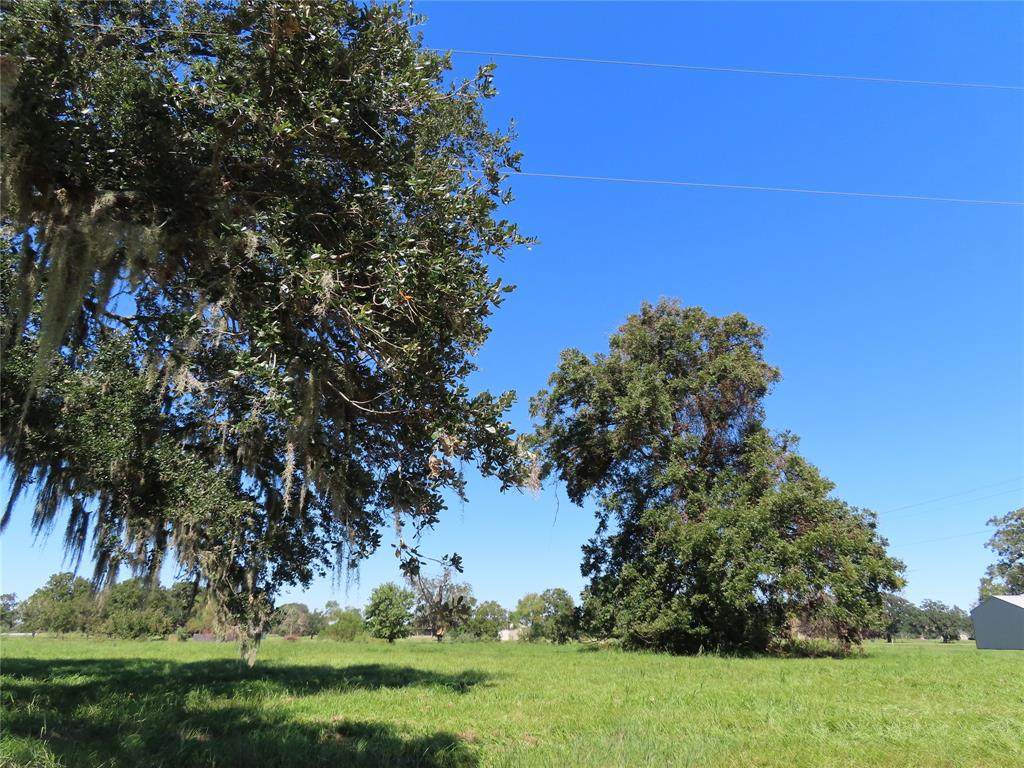 750 Stallion Circle - Photo 1