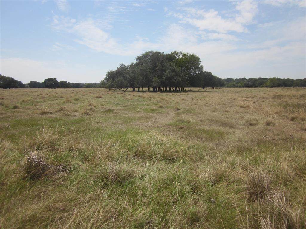 3671 Fm 1093 Road - Photo 1
