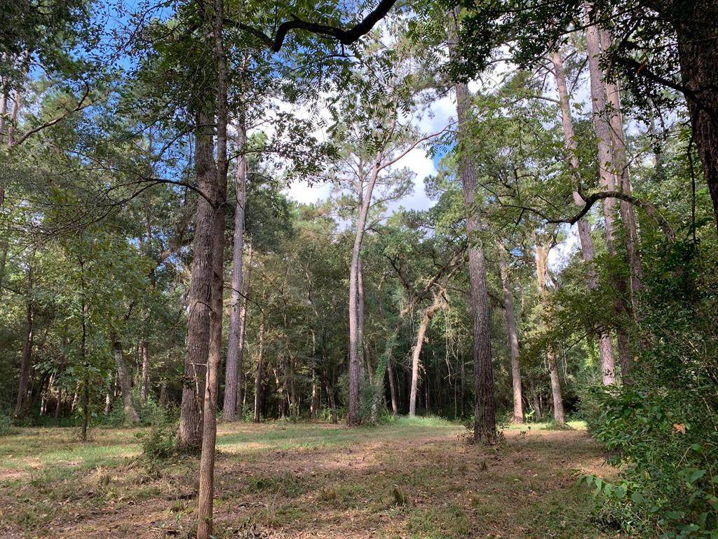 32602 Dogwood Trail - Photo 1