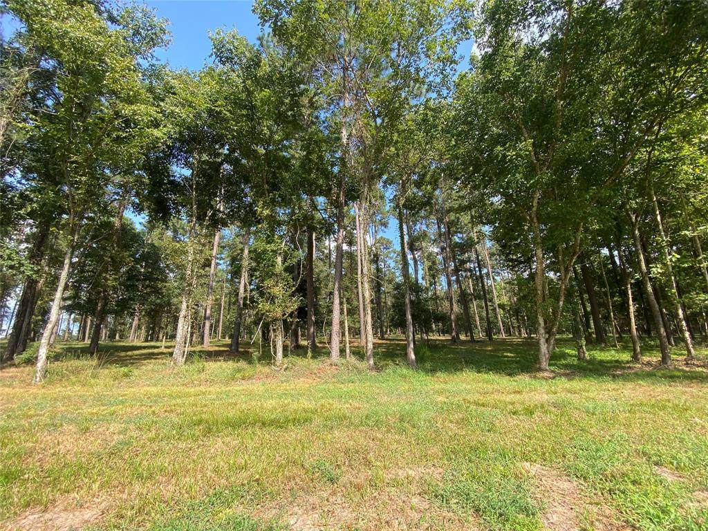 Lot 3 Winters Ranch Road - Photo 1