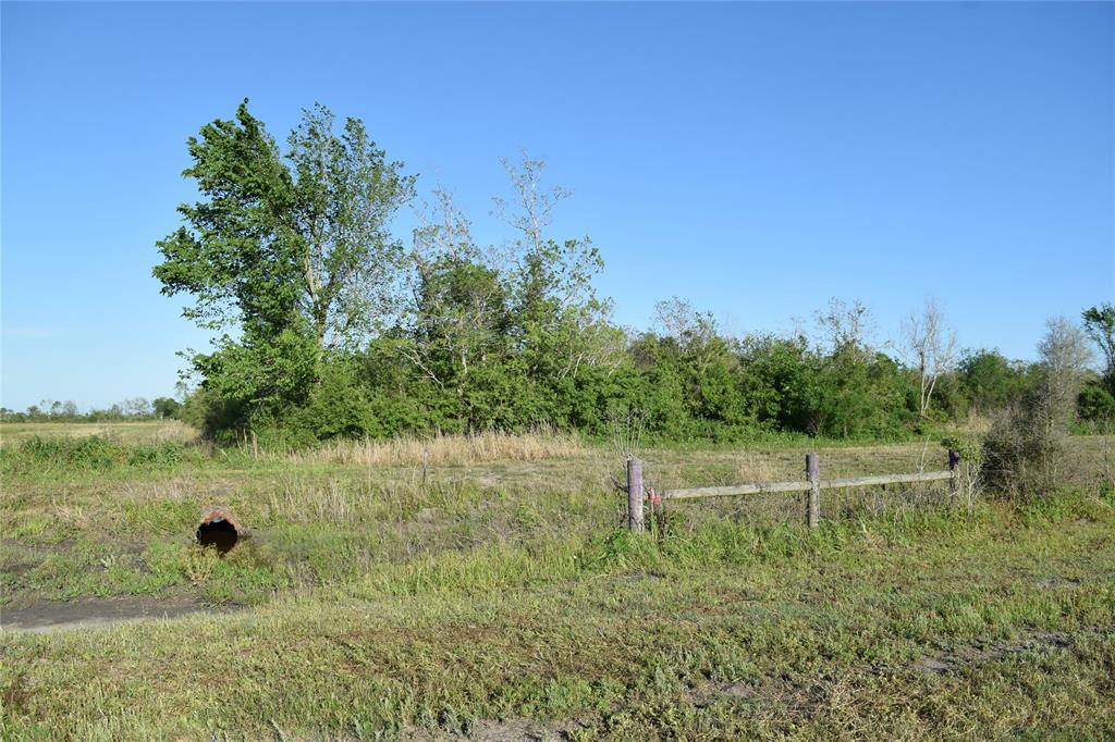 13721 County Road 606A Off - Photo 1