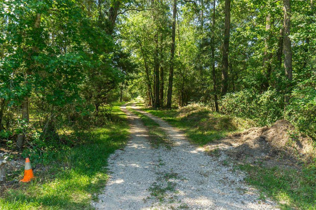 611 Lake Charlotte Road - Photo 1