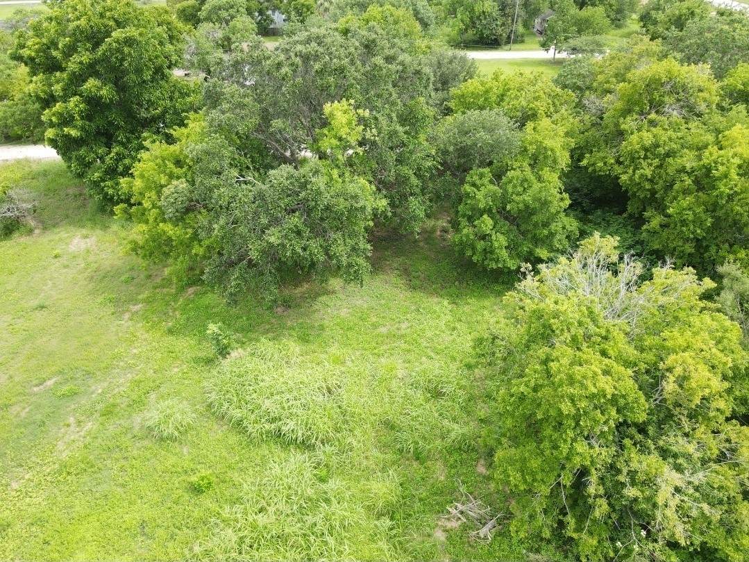 215 2nd Avenue - Photo 1