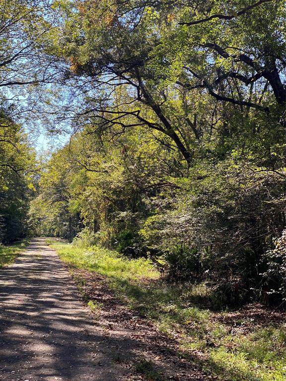 R121335 Magnolia Bend - Photo 1