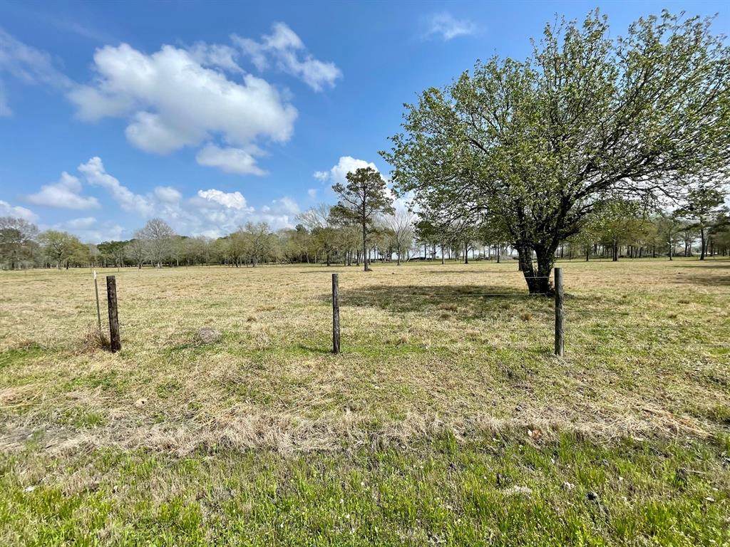 Lot 4 Moore Rd Estates - Photo 1
