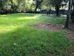 7019 Sidney Street - Photo 1