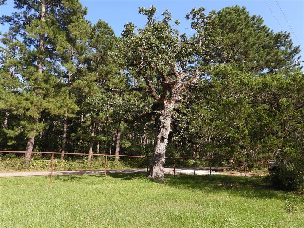 TBD 1 Bethel Road - Photo 1