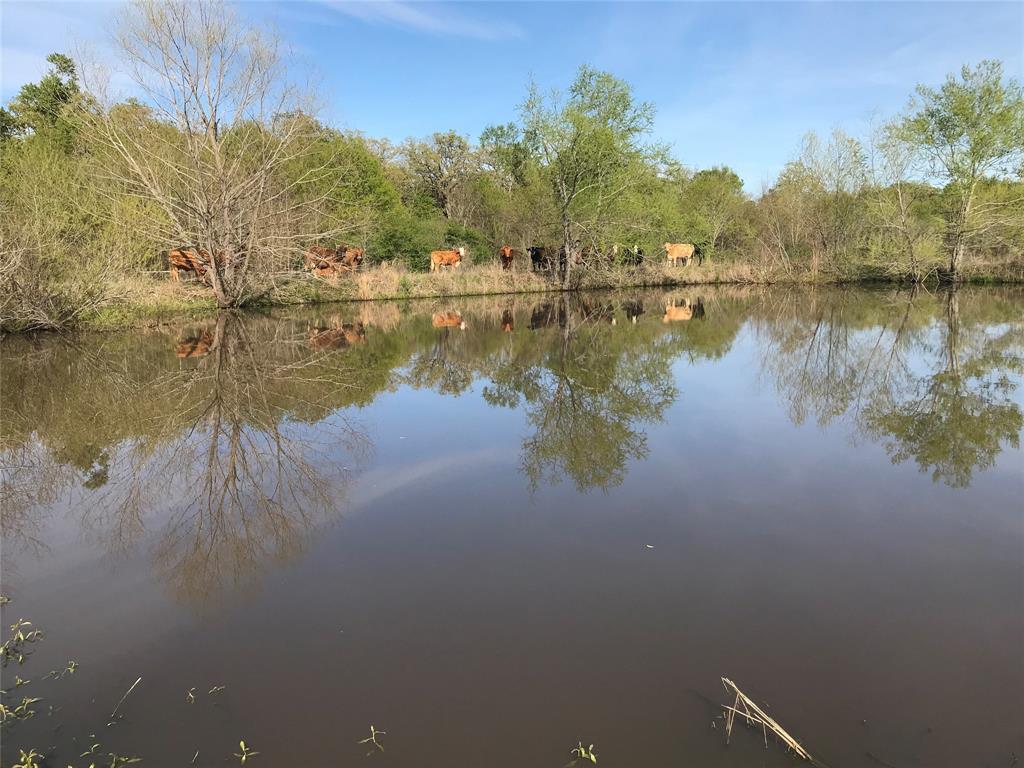 44.293 AC Us Hwy 287 - Photo 1