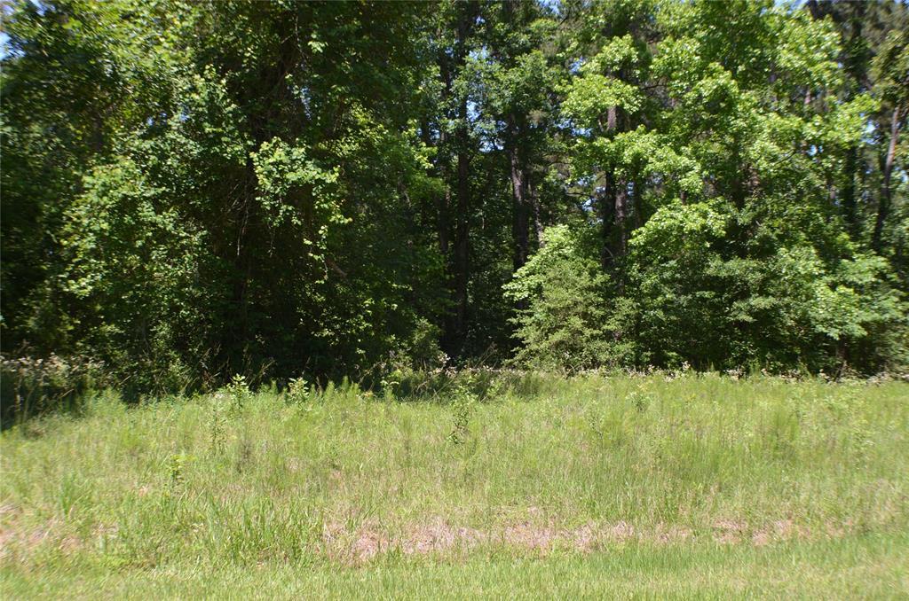 000 Governor Wood Drive - Photo 1