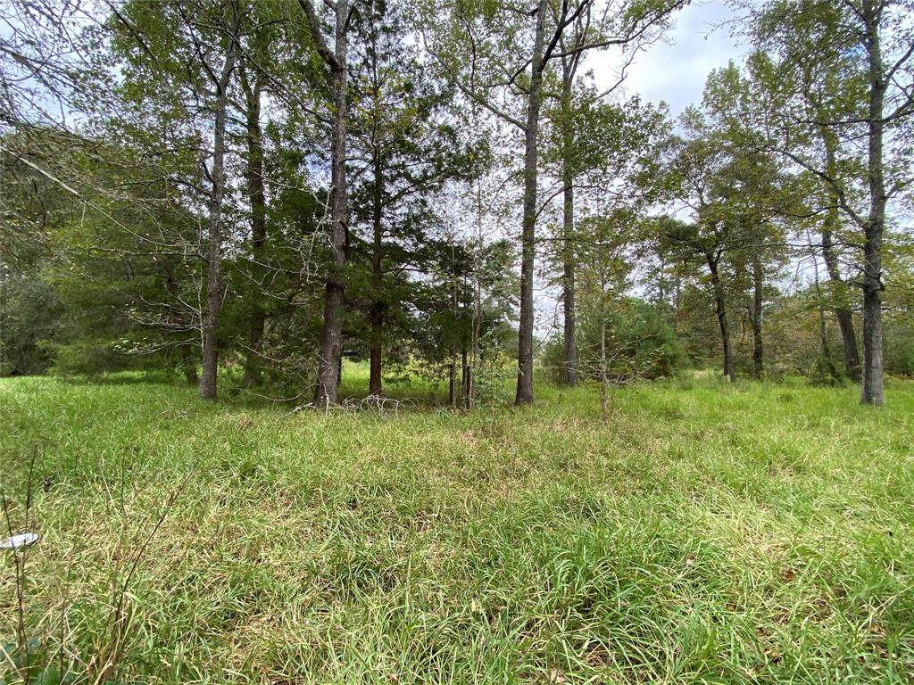 4904 Jackson Road - Photo 1