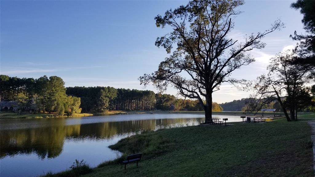 Lot 112 Toler Pointe - Photo 1